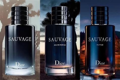 dior sauvage dossier|colognes similar to Dior Sauvage.